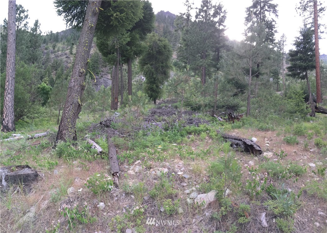 15395 Coyote Falls Road Entiat, WA 98822 - Photo 22 of 23 Gallery Image 22