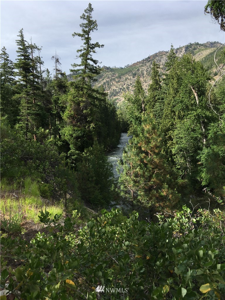 15395 Coyote Falls Road Entiat, WA 98822 - Photo 23 of 23 Gallery Image 23