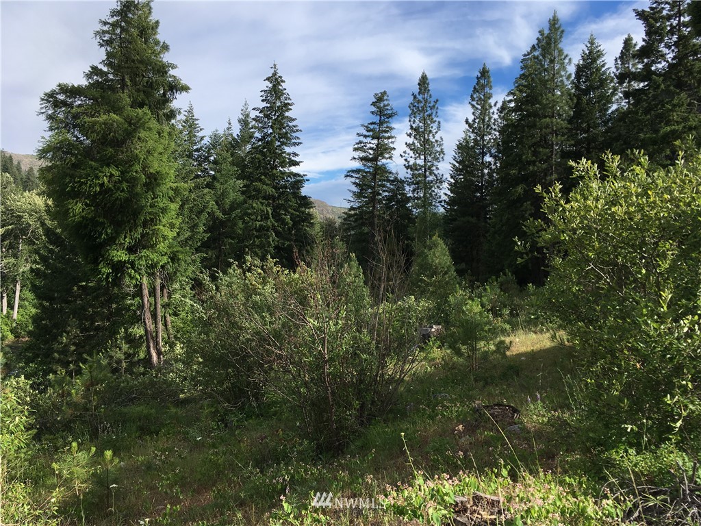 15395 Coyote Falls Road Entiat, WA 98822 - Photo 4 of 23 Gallery Image 4