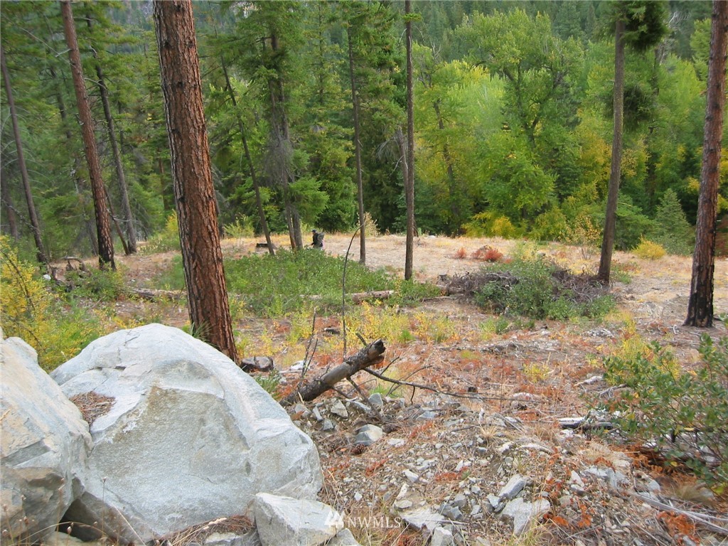 15395 Coyote Falls Road Entiat, WA 98822 - Photo 6 of 23 Gallery Image 6