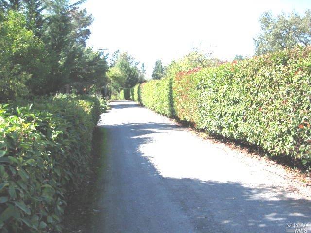 a view of a yard with flower plants