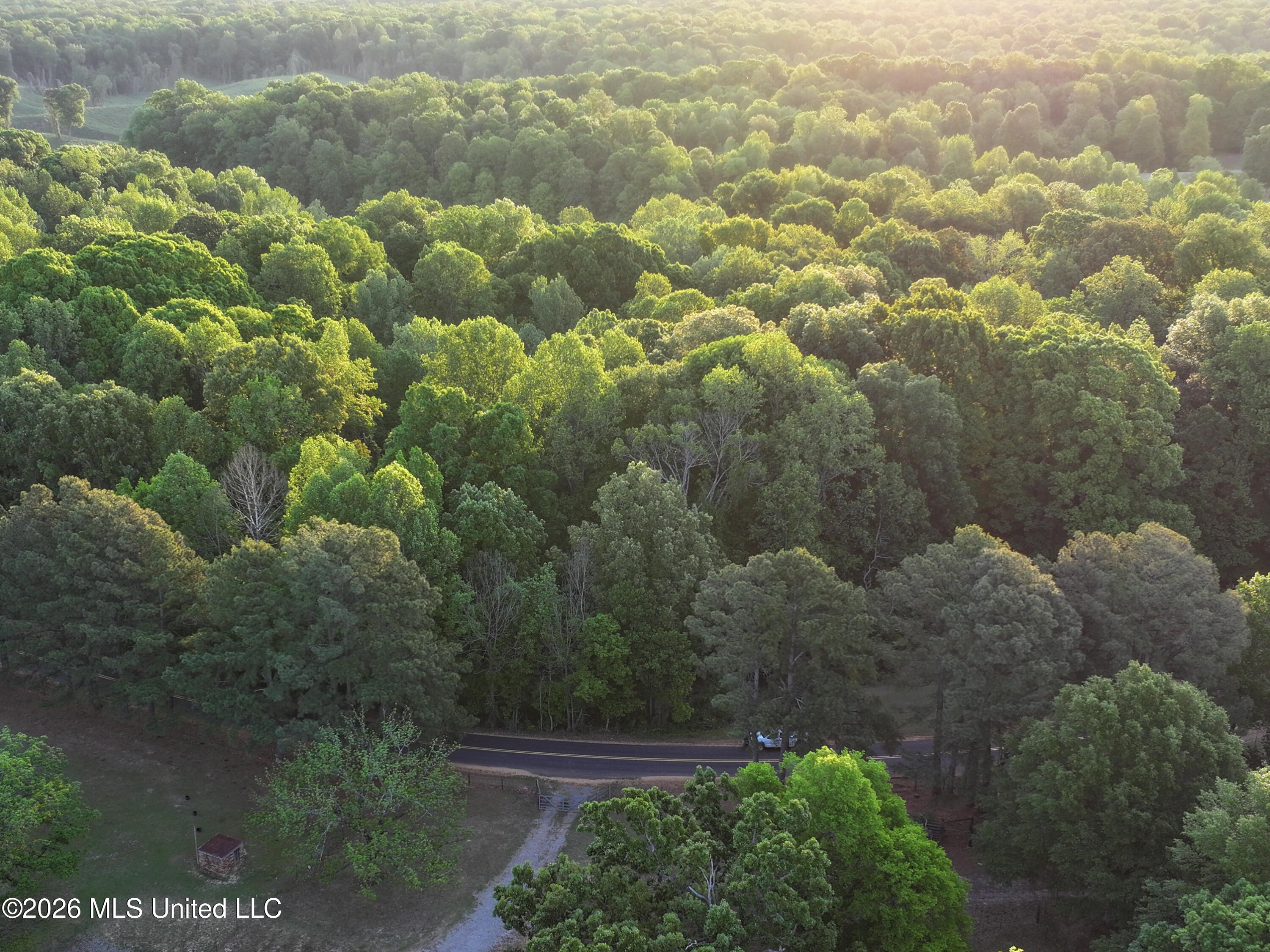 Tanyard Road Hernando, MS 38632 - Photo 11 of 11 DeSoto 8.3 Final Frontier (4x3) (11 of 3