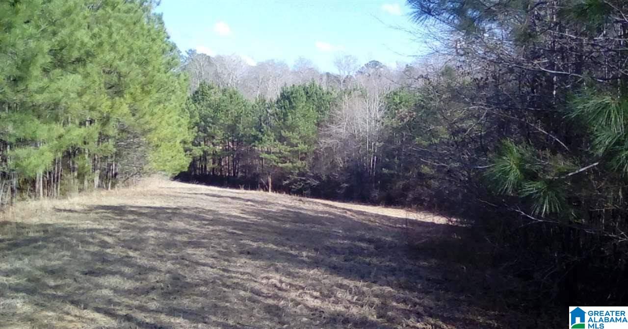 0 Clements Road, Unit 45 46 Cottondale, AL 35453 - Photo 1 of 2