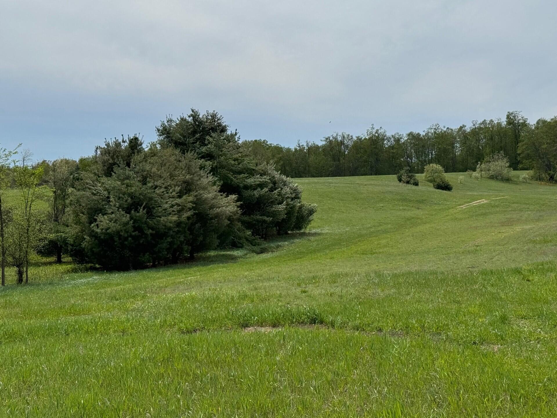 Nichols Road Pellston, MI 49769 - Photo 29 of 32