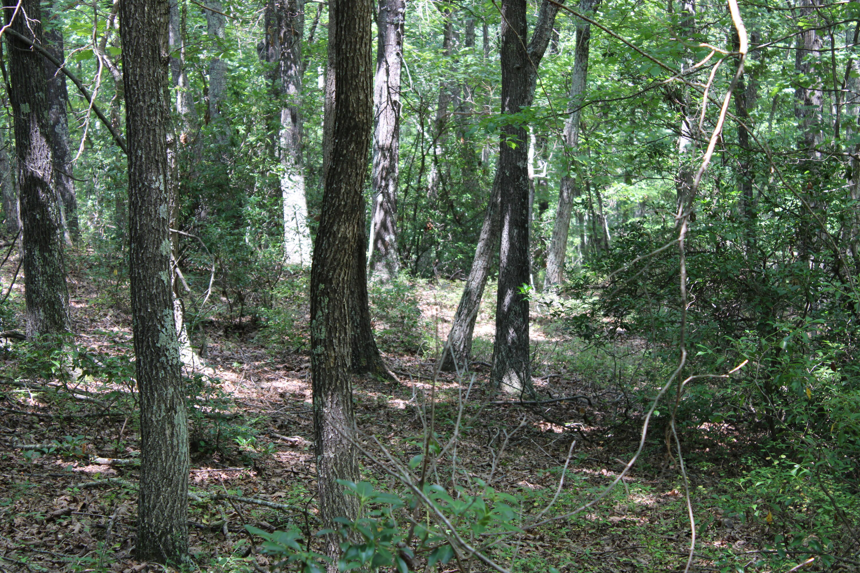 2816 Johns Creek Road New Castle, VA 24127 - Photo 48 of 96 IMG_0051