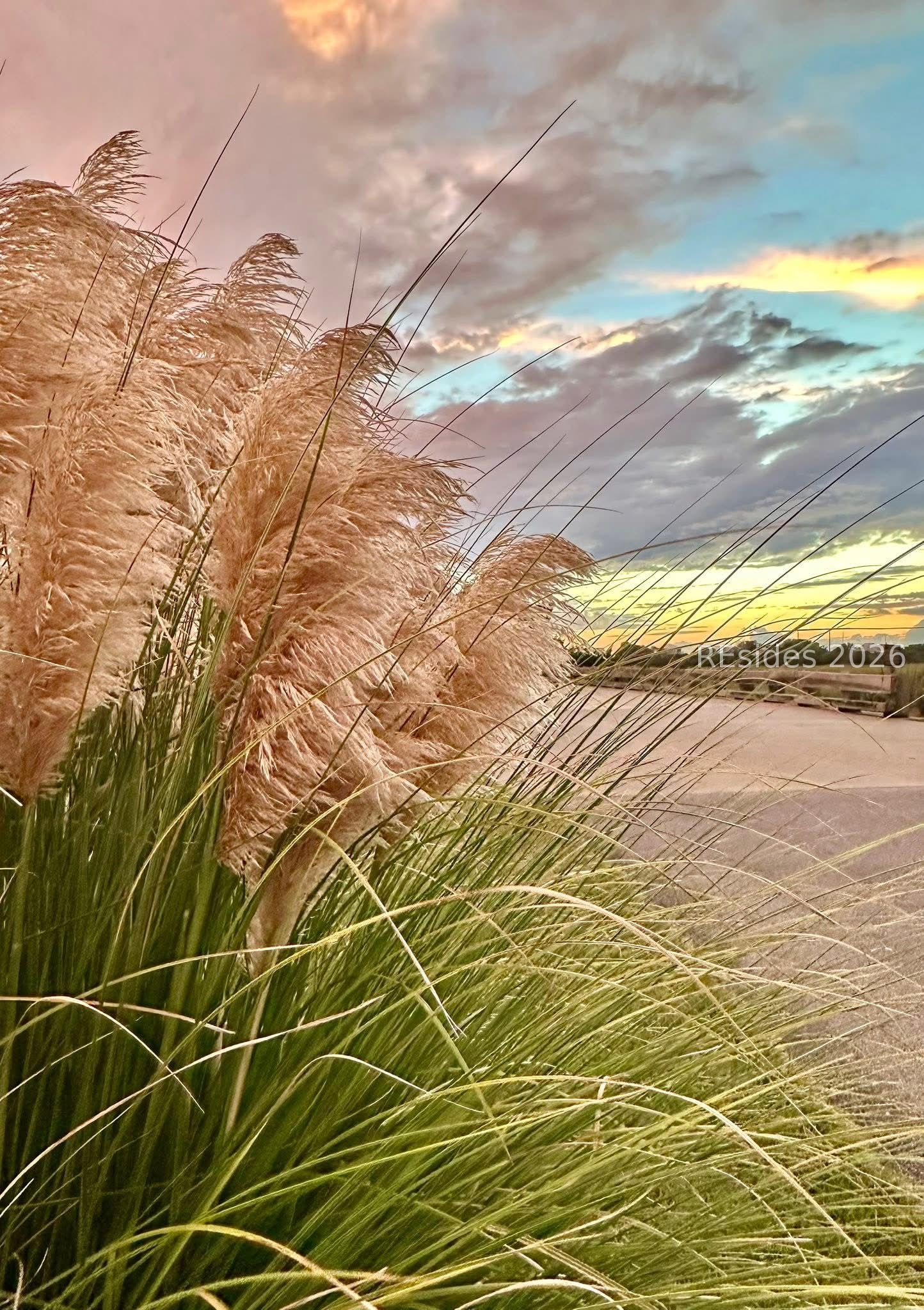 4 Cedar Reef, Unit B202 St. Helena Island, SC 29920 - Photo 34 of 58