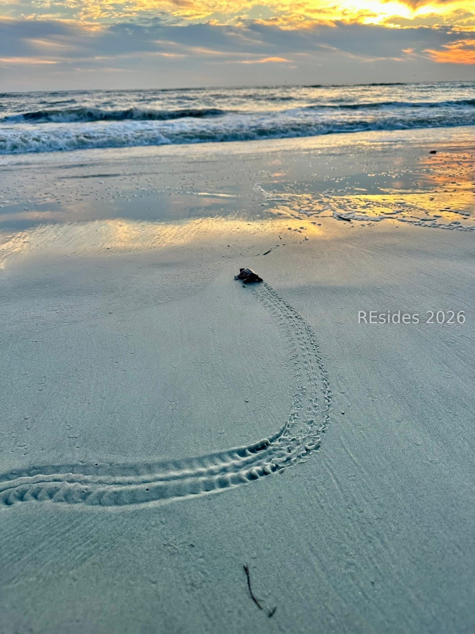 4 Cedar Reef, Unit B202 St. Helena Island, SC 29920 - Photo 39 of 58