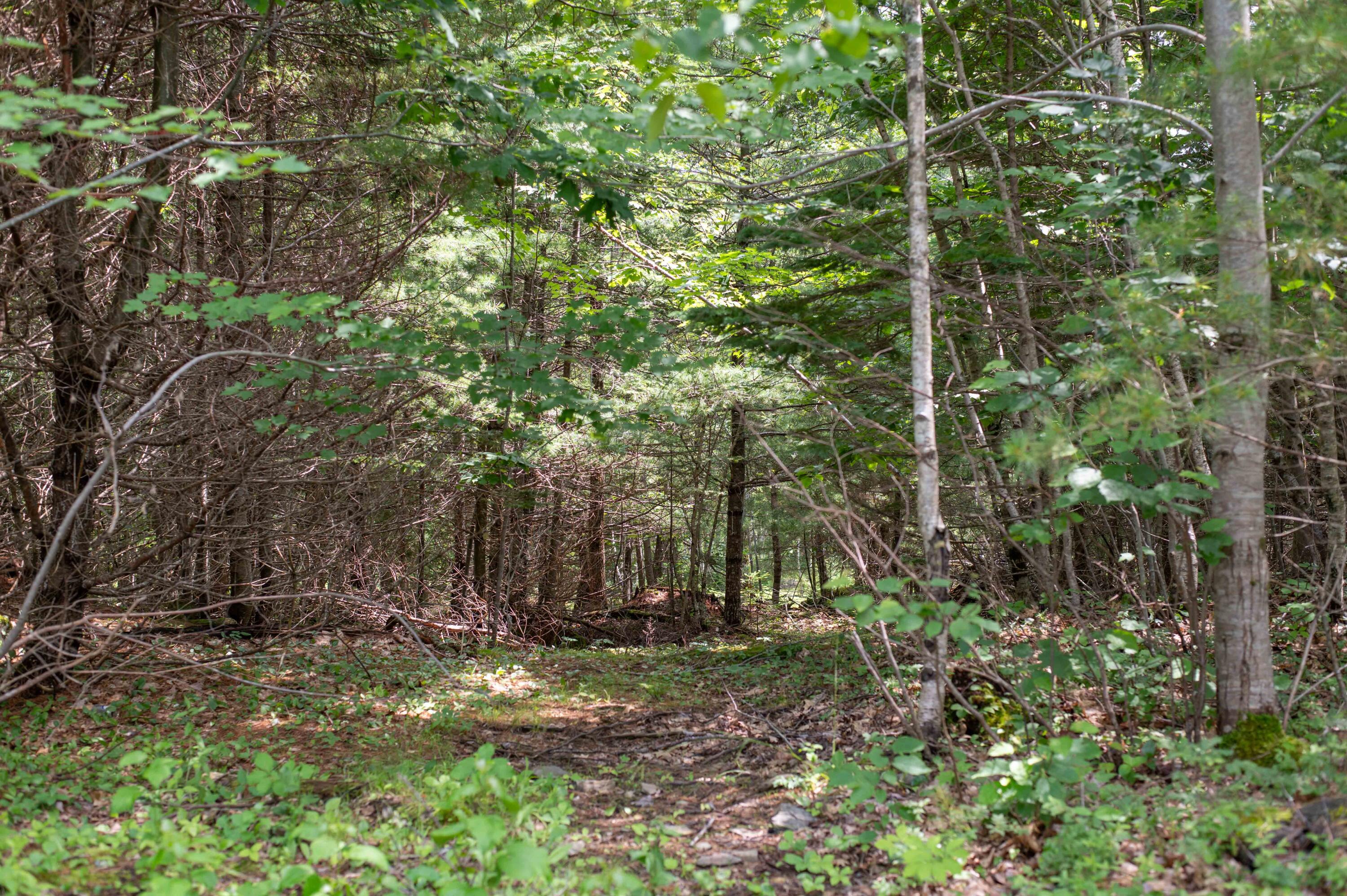 150 Cross Road Bucksport, ME 04416 - Photo 24 of 31 Cross-24