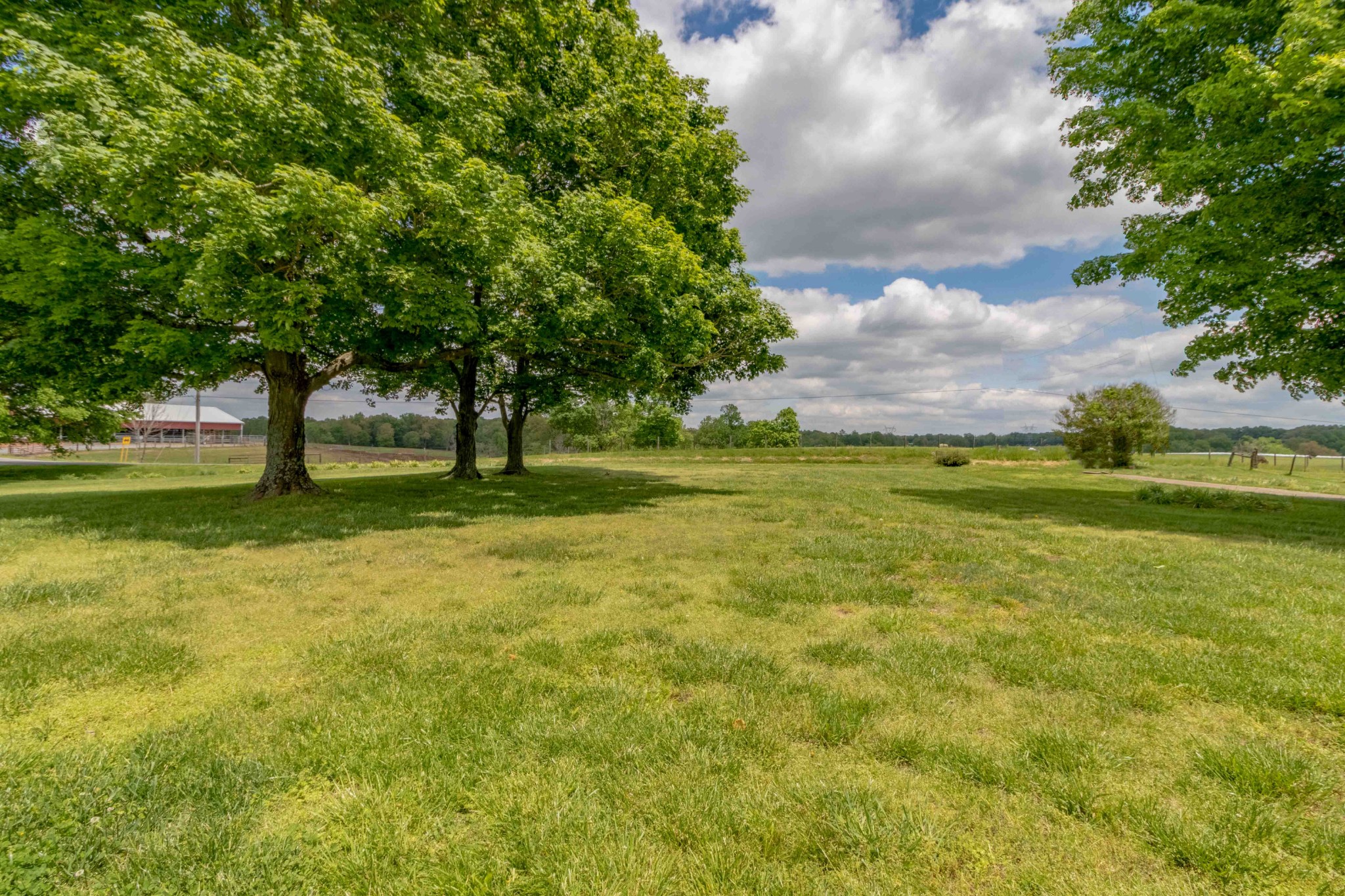 1780 Hickory Point Road Clarksville, TN 37043 - Photo 13 of 50 a view of yard with swimming pool and green space