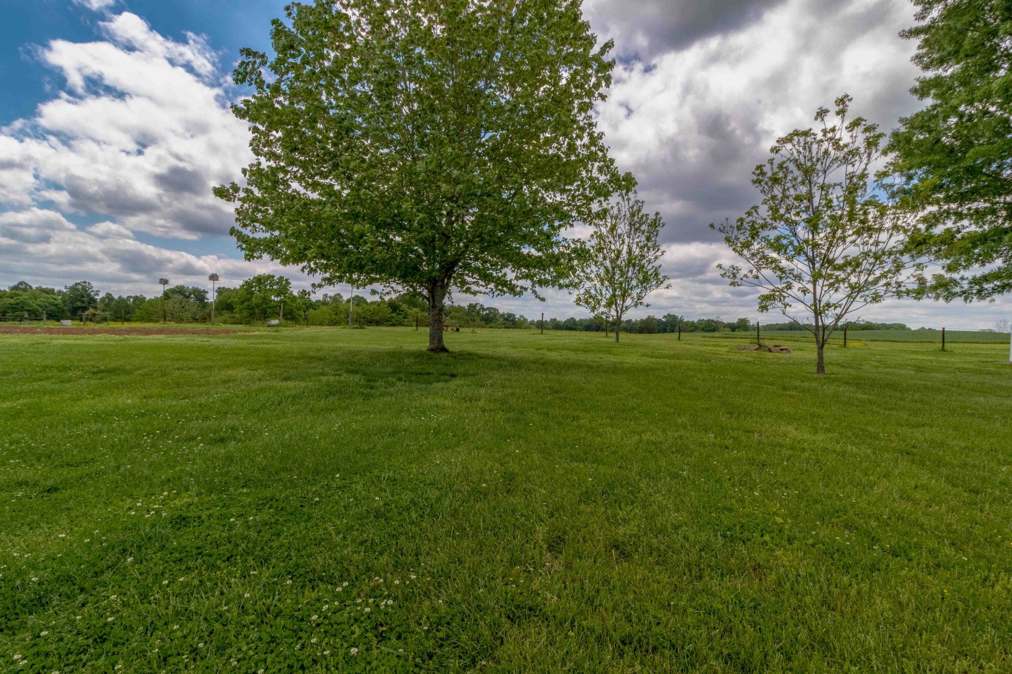1780 Hickory Point Road Clarksville, TN 37043 - Photo 21 of 50 a backyard of a house with lots of green space