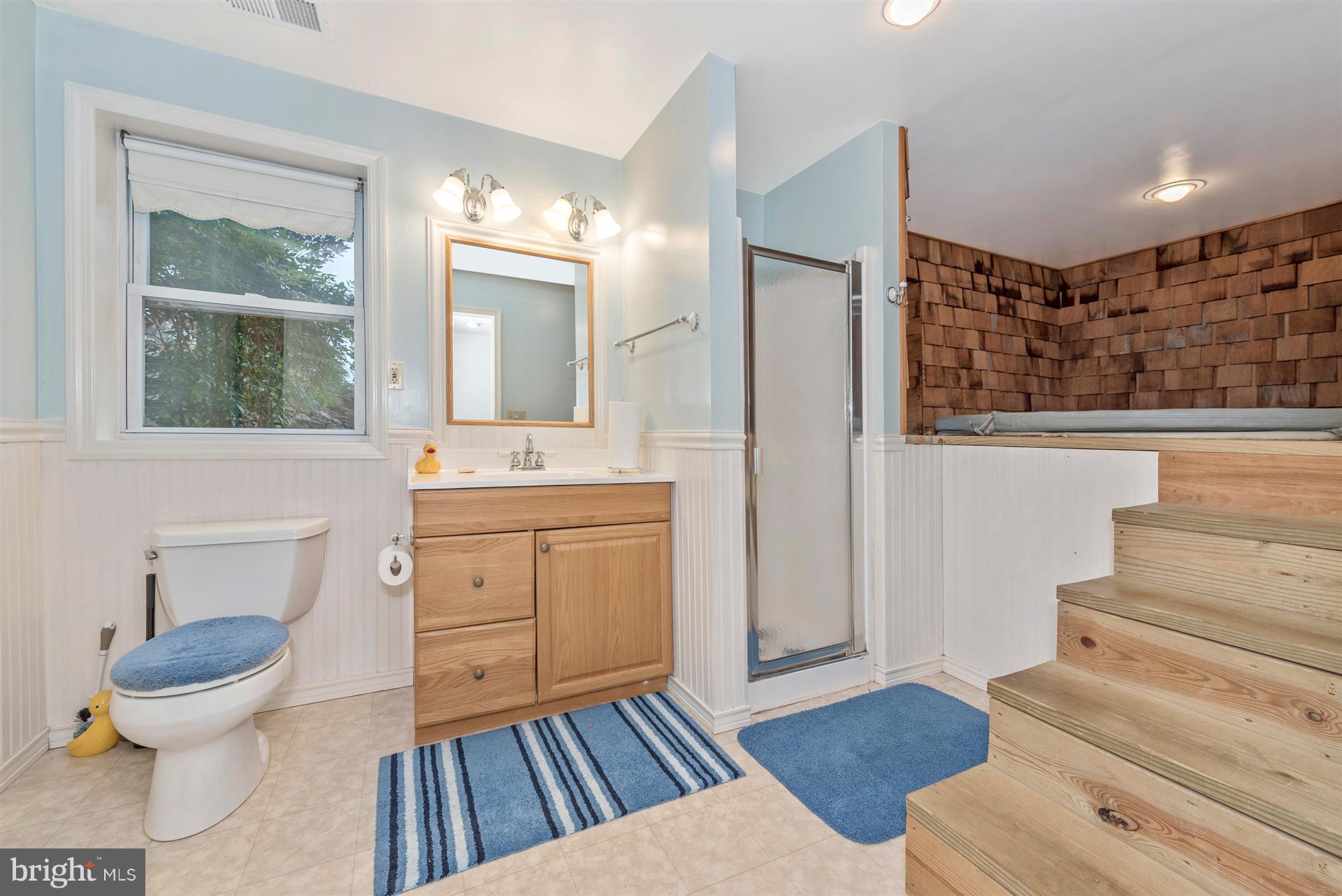 2480 Flag Marsh Road Mount Airy, MD 21771 - Photo 24 of 30 Lower Level Bath with Non Operating Hot tub