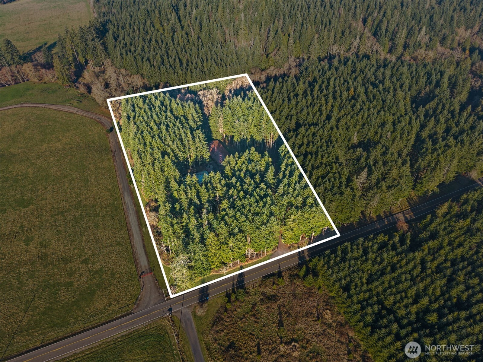 1895 North Fork Road Chehalis, WA 98532 - Photo 38 of 39