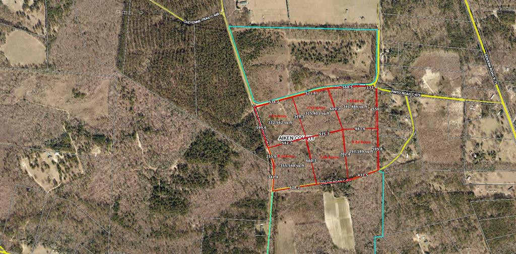 2 Dream Road Wagener, SC 29164 - Photo 2 of 2