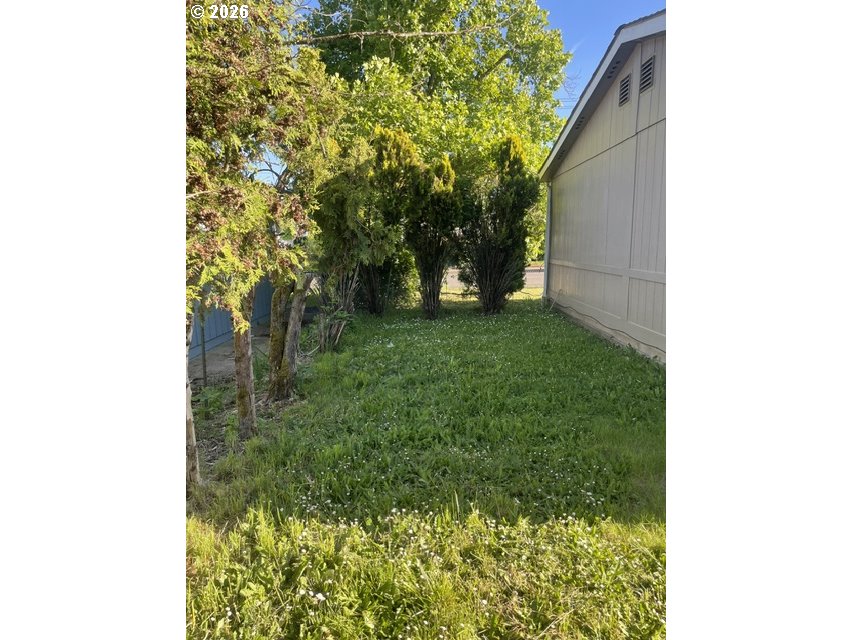 5660 Daisy Street, Unit 31 Springfield, OR 97478 - Photo 16 of 44 a view of a yard