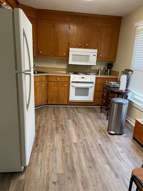 44 Rice Lane Edisto Beach, SC 29438 - Photo 2 of 9 IMG_4720