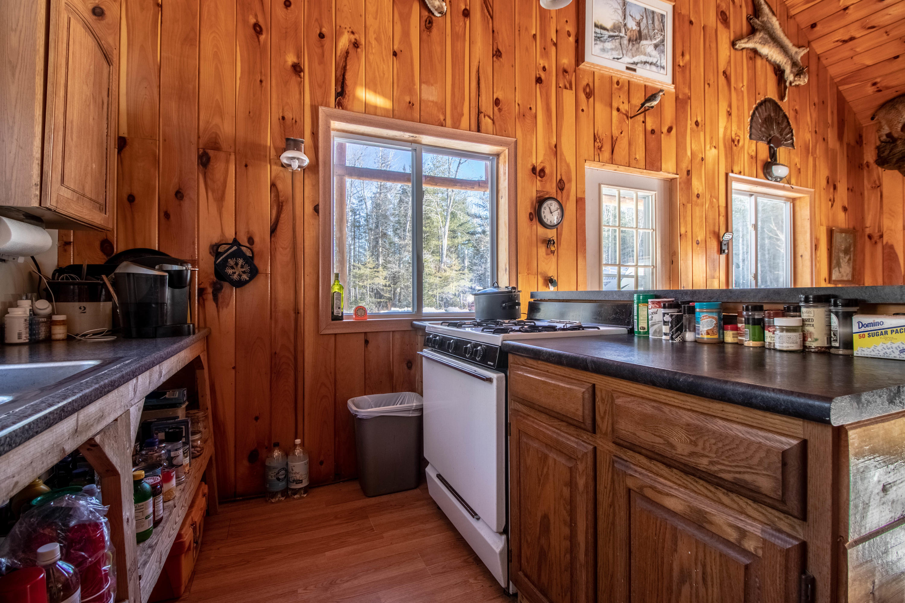 1281 County Road Greenbush, ME 04418 - Photo 16 of 21 _MG_6440-HDR