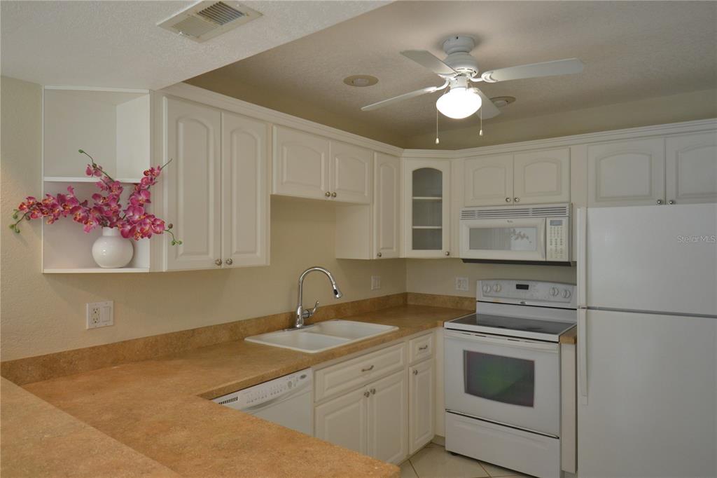 605 Lennox Road West Palm Harbor, FL 34683 - Photo 8 of 37