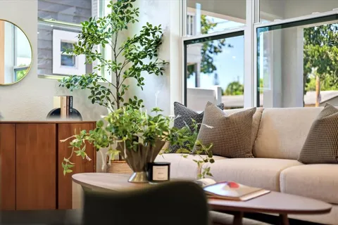 a living room with furniture potted plant and a window