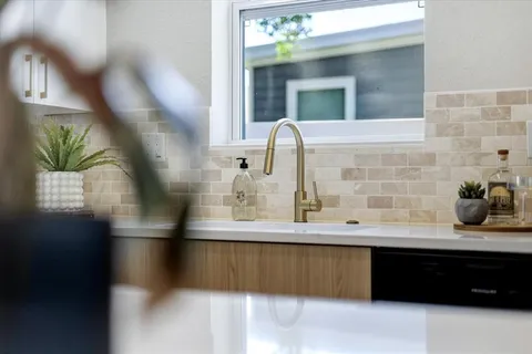 a kitchen with a sink and a potted plant
