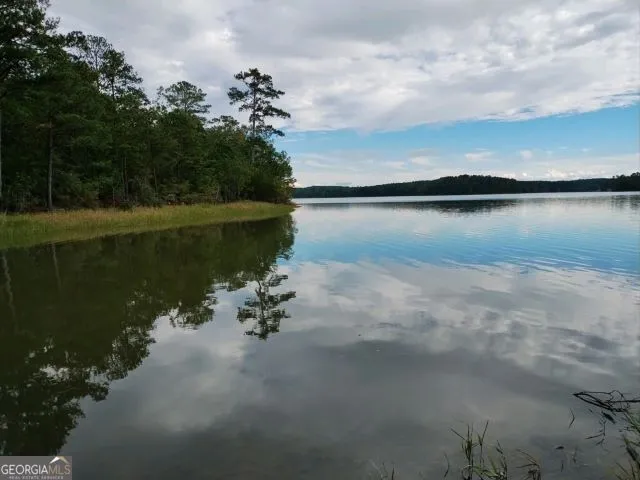 a view of a lake from a yard