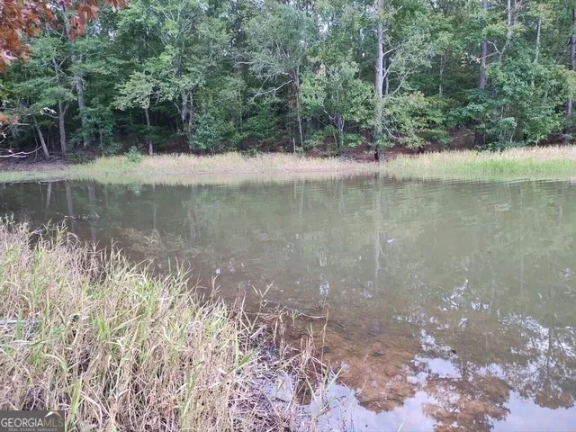 a view of a lake view