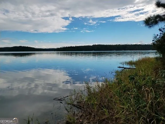 a view of a lake from a yard