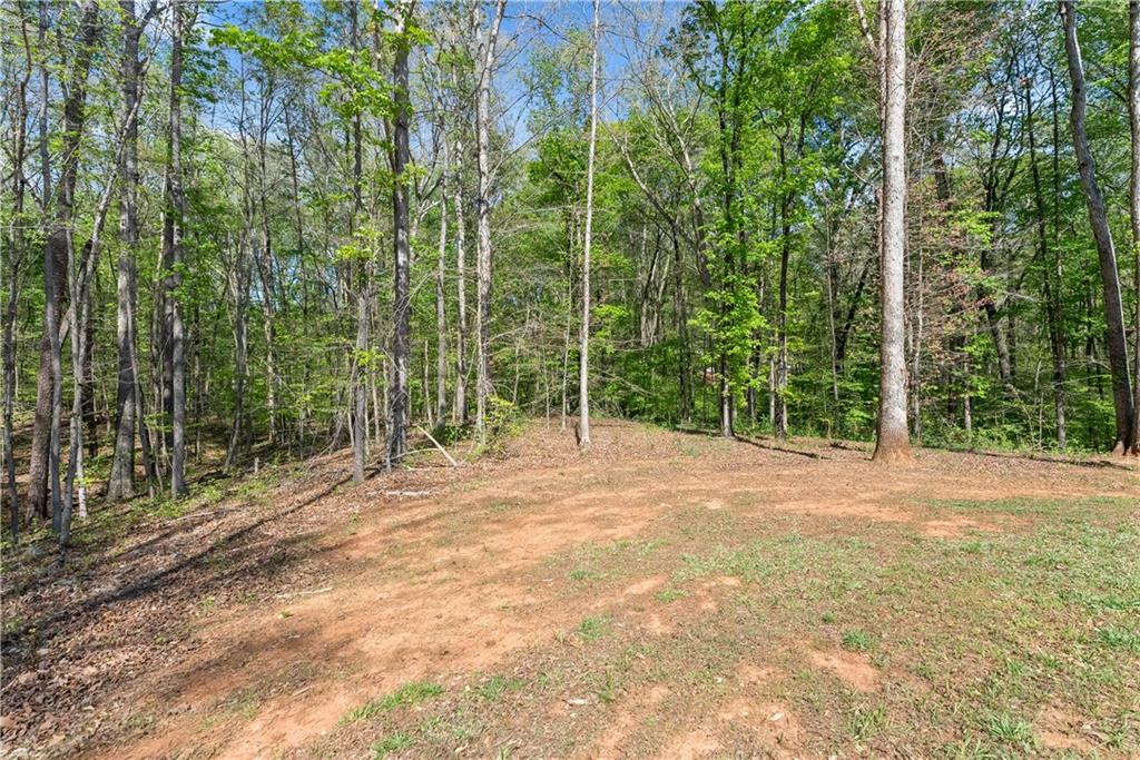 179 Prime Drive Commerce, GA 30530 - Photo 40 of 44 a view of a field with trees in the background