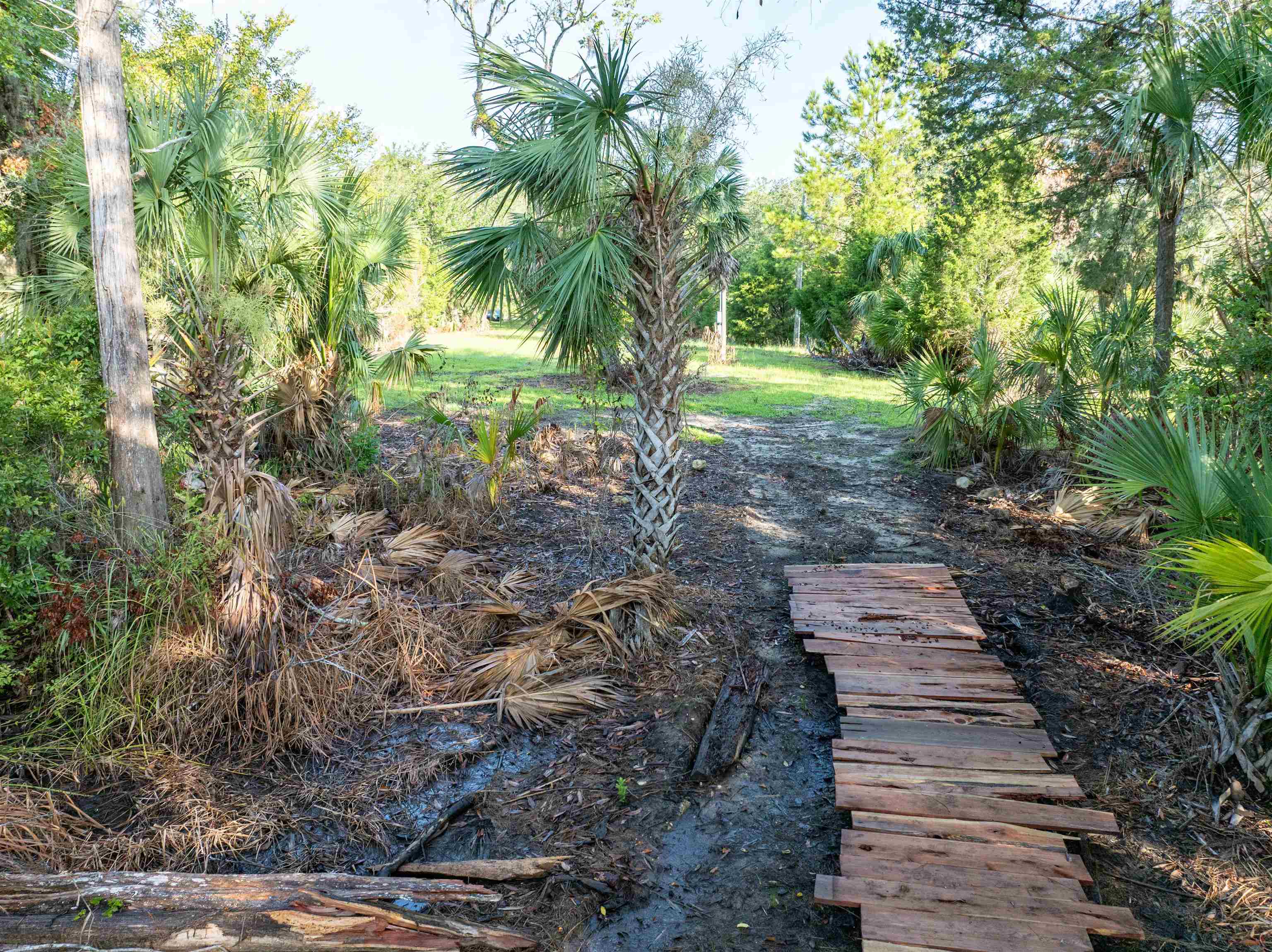 4350 Econfina River Road Lamont, FL 32336 - Photo 16 of 18