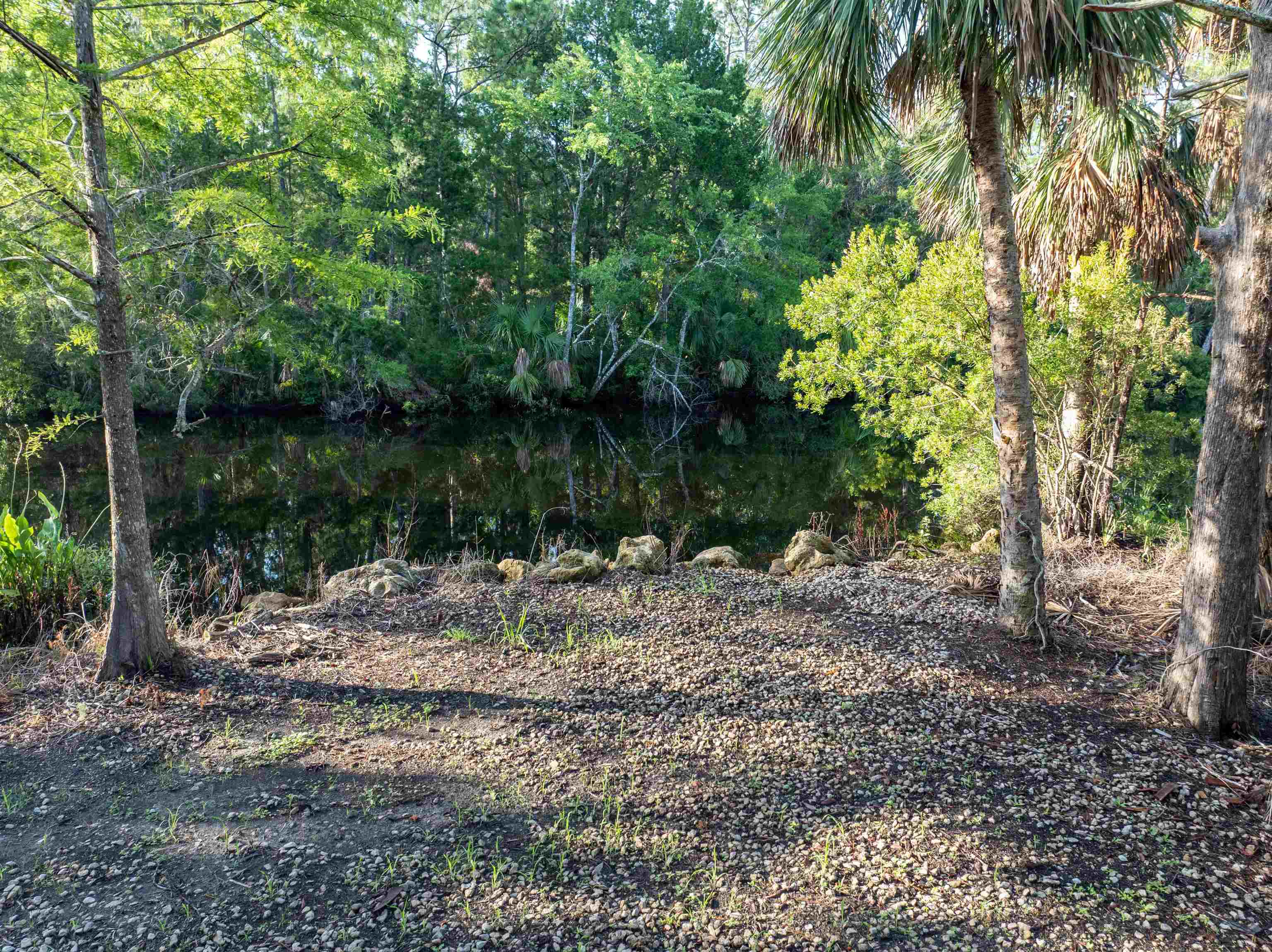 4350 Econfina River Road Lamont, FL 32336 - Photo 2 of 18