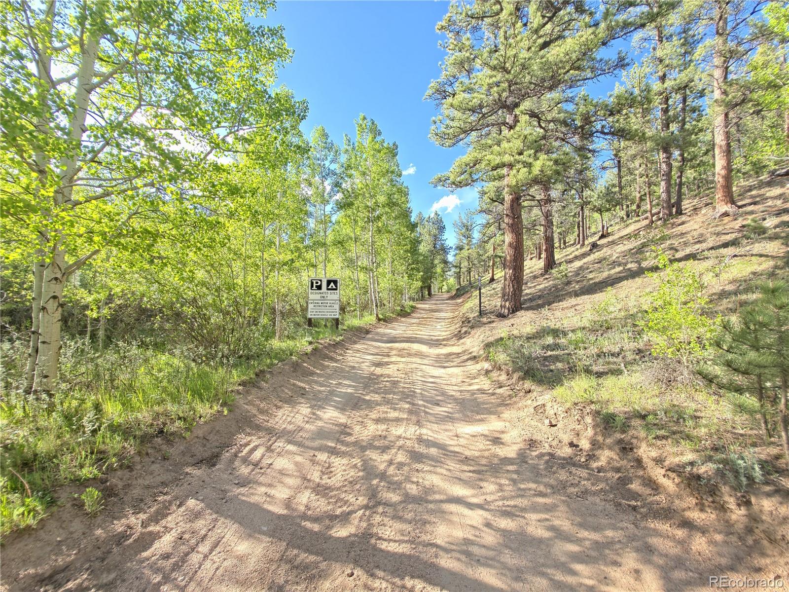 226 Hall Road Bailey, CO 80421 - Photo 35 of 39