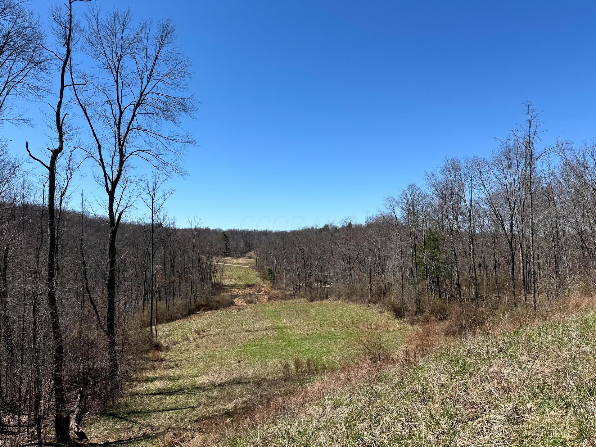 0 Dutch Ridge Road Southeast, Unit WOODS TURKEY RUN TRACT 5) New Lexington, OH 43764 - Photo 55 of 58 CT-55