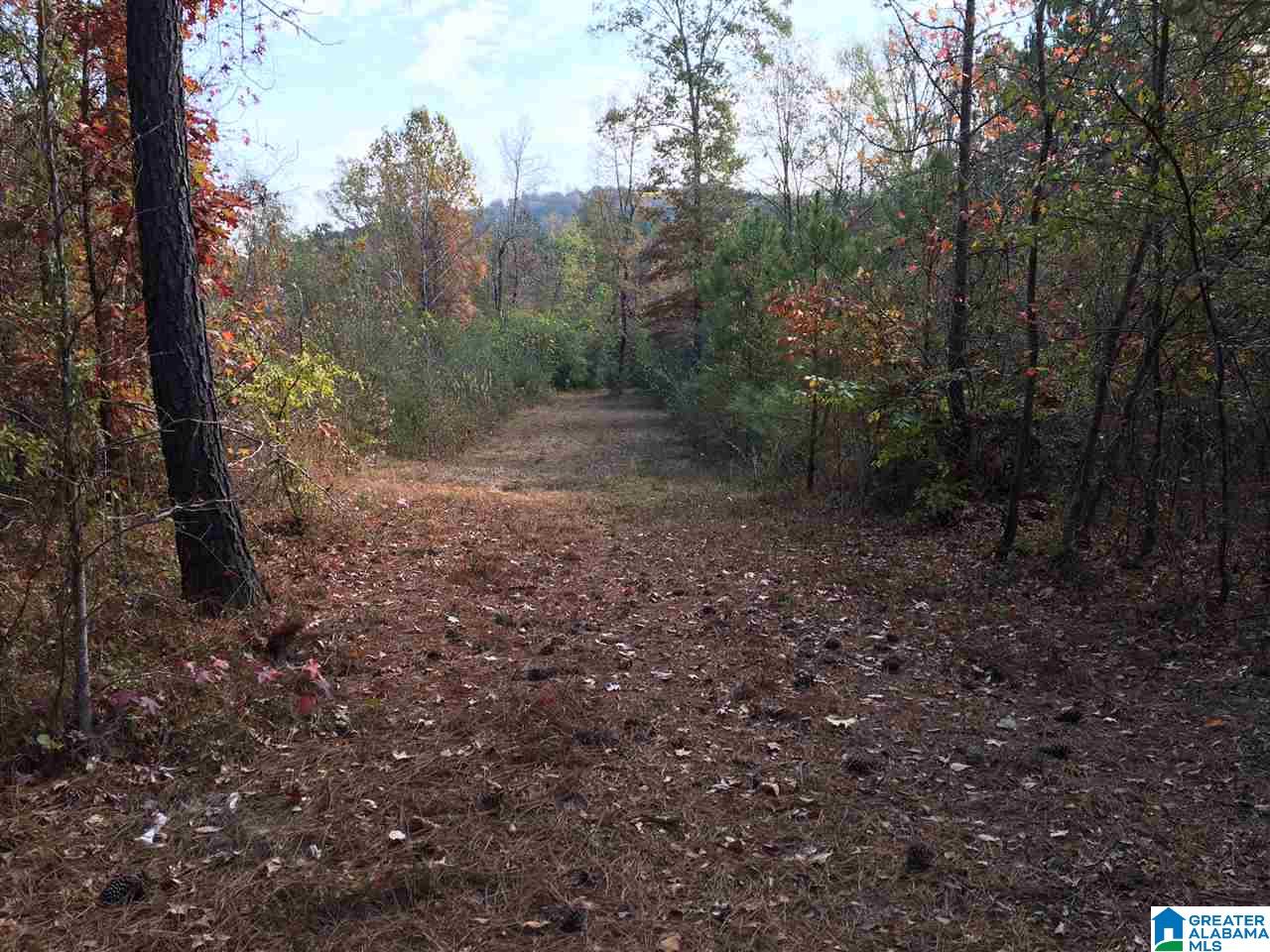 0 Wooden Trace Circle, Unit 30 Springville, AL 35146 - Photo 7 of 25