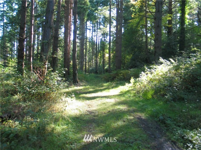 0 Enchanted Forest Road Orcas Island, WA 98245 - Photo 1 of 12 Gallery Image 1