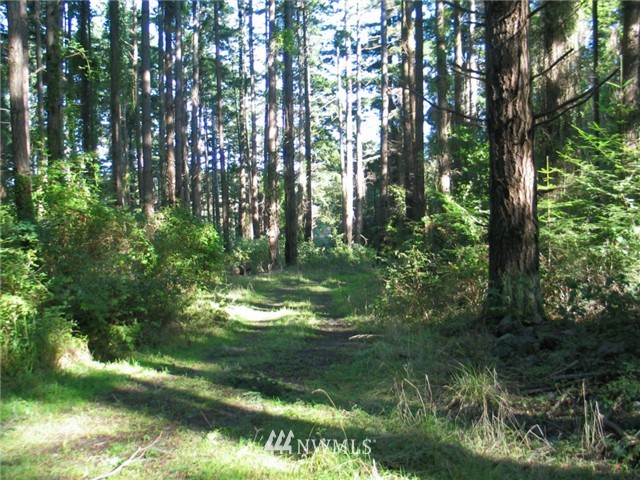 0 Enchanted Forest Road Orcas Island, WA 98245 - Photo 2 of 12 Gallery Image 2
