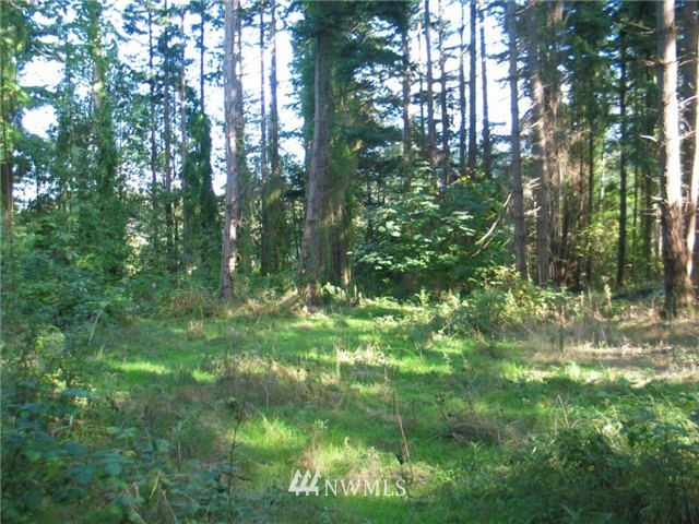 0 Enchanted Forest Road Orcas Island, WA 98245 - Photo 11 of 12 Gallery Image 11