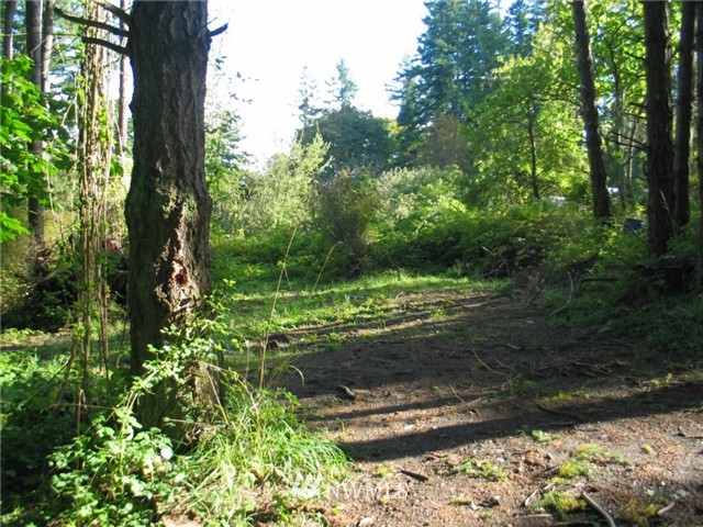 0 Enchanted Forest Road Orcas Island, WA 98245 - Photo 12 of 12 Gallery Image 12