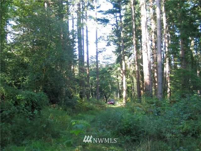 0 Enchanted Forest Road Orcas Island, WA 98245 - Photo 3 of 12 Gallery Image 3