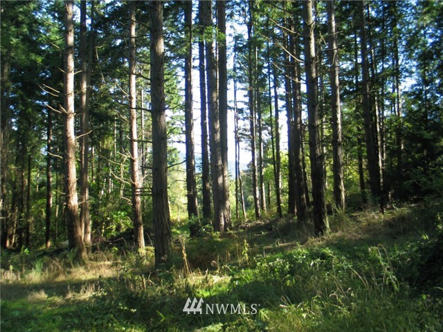 0 Enchanted Forest Road Orcas Island, WA 98245 - Photo 5 of 12 Gallery Image 5