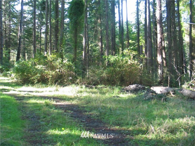0 Enchanted Forest Road Orcas Island, WA 98245 - Photo 6 of 12 Gallery Image 6