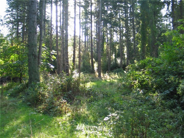 0 Enchanted Forest Road Orcas Island, WA 98245 - Photo 7 of 12 Gallery Image 7