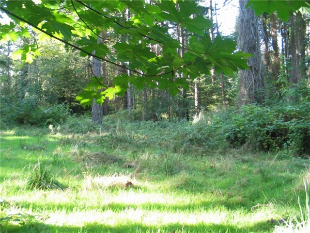 0 Enchanted Forest Road Orcas Island, WA 98245 - Photo 8 of 12 Gallery Image 8
