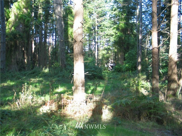 0 Enchanted Forest Road Orcas Island, WA 98245 - Photo 9 of 12 Gallery Image 9