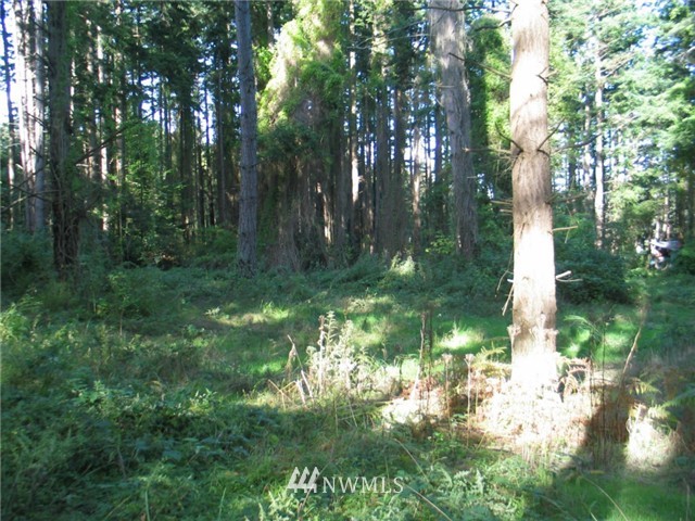 0 Enchanted Forest Road Orcas Island, WA 98245 - Photo 10 of 12 Gallery Image 10