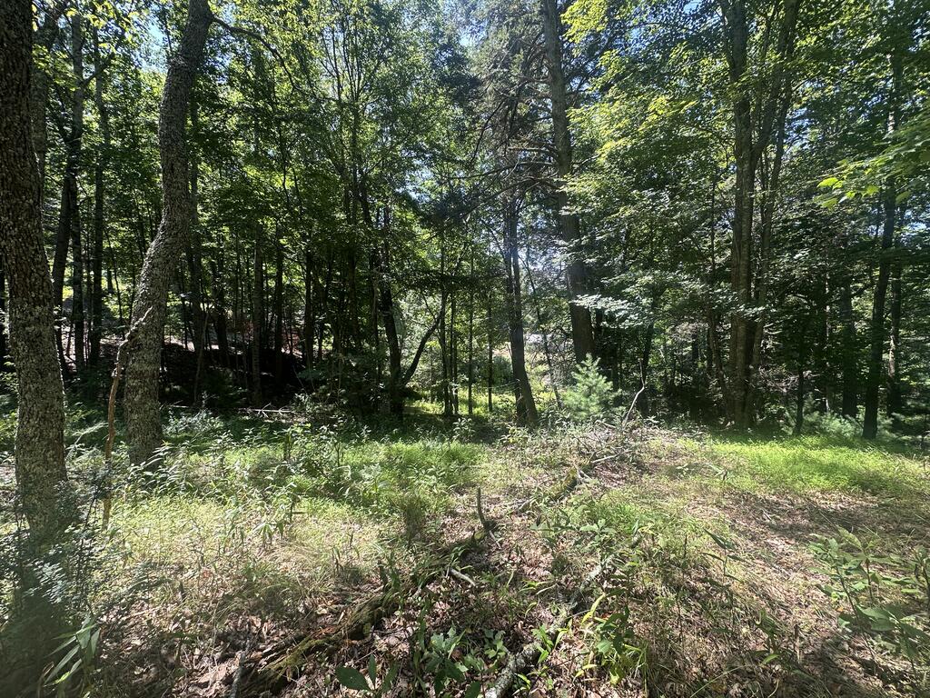 1299 Vista Road Independence, VA 24348 - Photo 7 of 23 Gallery Image 7