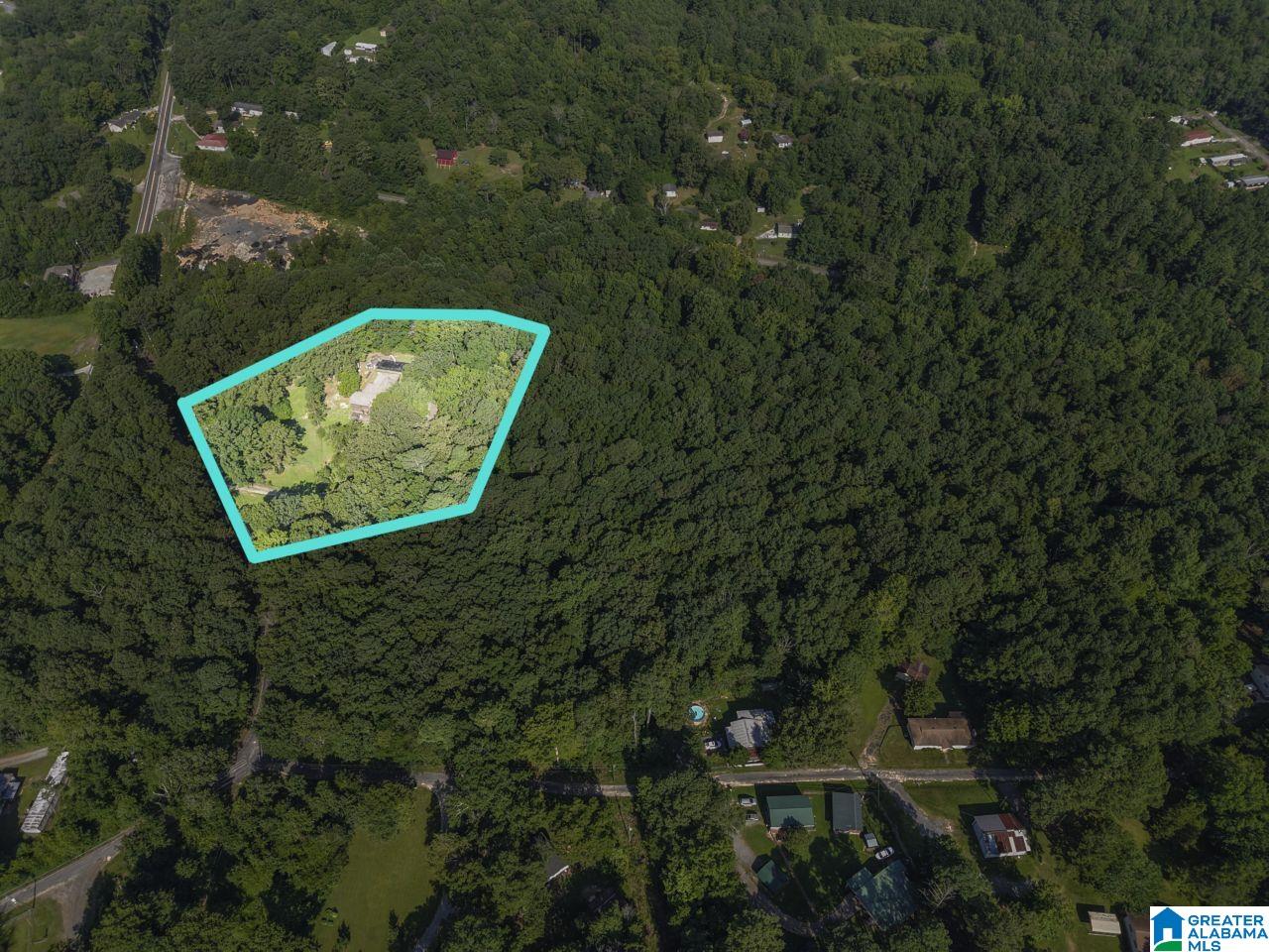 234 Loop Road Odenville, AL 35120 - Photo 15 of 58