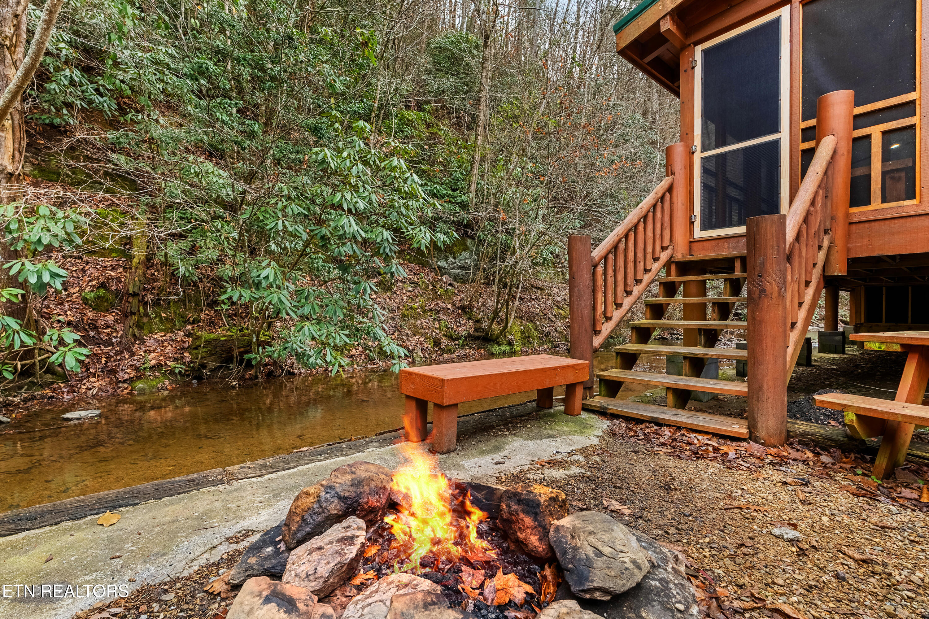 315 Caney Creek Road Pigeon Forge, TN 37863 - Photo 19 of 60 DSC06750-HDR