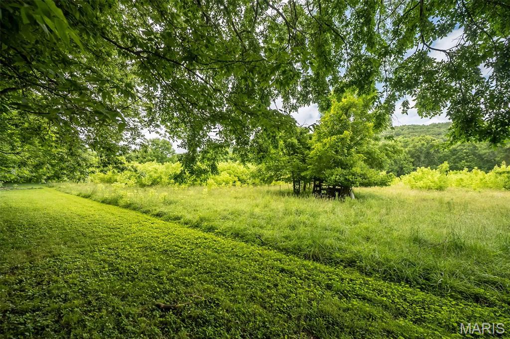 3037 Upper Moss Hollow Road Barnhart, MO 63012 - Photo 52 of 73