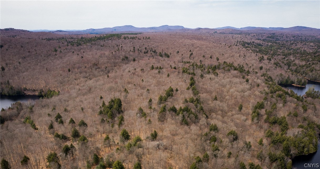 0 Warren Point Road Tupper Lake, NY 12986 - Photo 13 of 15