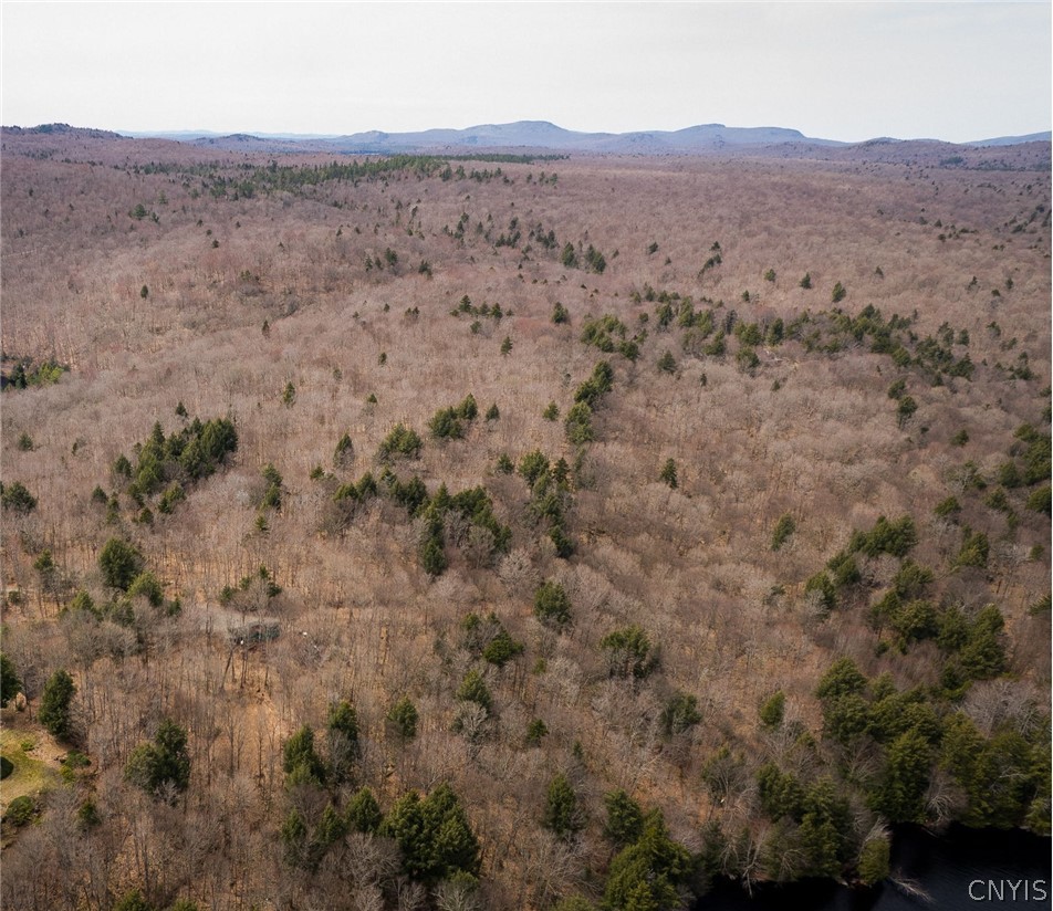 0 Warren Point Road Tupper Lake, NY 12986 - Photo 14 of 15