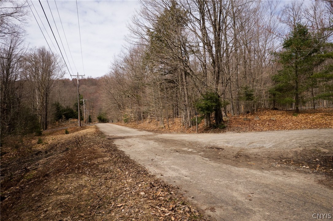 0 Warren Point Road Tupper Lake, NY 12986 - Photo 2 of 15